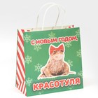 Пакет подарочный «Красотуля», 22 х 22 х 11 см, Новый год (комплект 2 шт) - фото 21662761