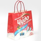 Пакет подарочный «Чудо не случится», 22 х 22 х 11 см, Новый год - фото 21662766