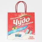 Пакет подарочный «Чудо не случится», 22 х 22 х 11 см, Новый год - фото 21662769