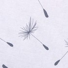 Простыня LoveLife «Одуванчики» 220х240 см, 100% хлопок, поплин, 125 г/м² - фото 41571022