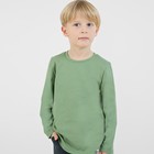 Лонгслив для мальчиков, рост 116 см, цвет зеленый - Фото 1