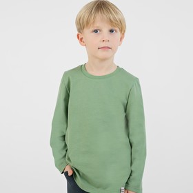 Лонгслив для мальчиков, рост 134 см, цвет зеленый