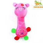 Мягкая игрушка для собак "Свинья с длинной шеей", розовая, 24 см - фото 9832969