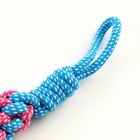 Игрушка канатная плетеная с ручкой, 120 г, до 31 см, синяя/розовая - Фото 3