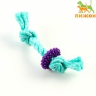 Игрушка жевательная "Шестерёнка на канате", до 20 см, бирюзовая - Фото 1