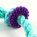 Игрушка жевательная "Шестерёнка на канате", до 20 см, бирюзовая - Фото 3