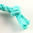 Игрушка жевательная "Шестерёнка на канате", до 20 см, бирюзовая - Фото 4