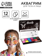 Аквагрим профессиональный для лица и тела, 12 цветов, с 2 кисточками - Фото 1