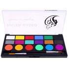 Аквагрим профессиональный для лица и тела, 18 цветов, с 2 кисточками - Фото 2