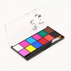 Аквагрим профессиональный для лица и тела 12 цветов + 2 кисточки - Фото 3