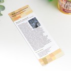 Подарочный набор для выращивания растений "Вырасти, Дерево! Эвкалипт лимонный" - фото 25587587