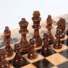 Настольная игра 3 в 1 "Морские": шахматы 32 шт, шашки 30 шт, нарды, 50 х 50 см - Фото 5