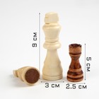 Настольная игра 3 в 1 "Сафари": шахматы, шашки, нарды, 50 х 50 см - Фото 2