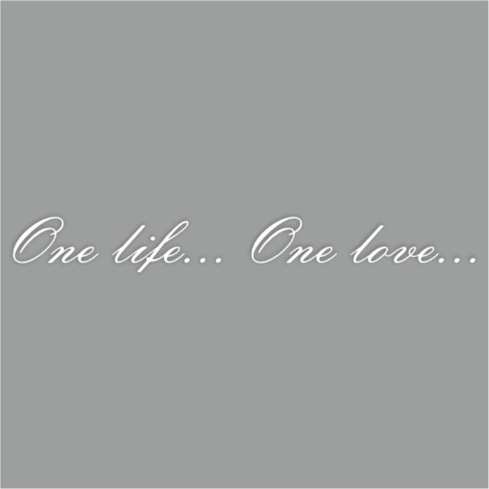 Наклейка "One life...One love...", белая, плоттер, 400 х 55 х 1 мм - Фото 1
