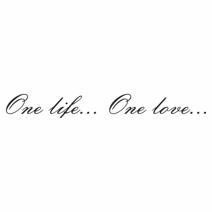 Наклейка "One life...One love...", черная, плоттер, 400 х 55 х 1 мм - Фото 1