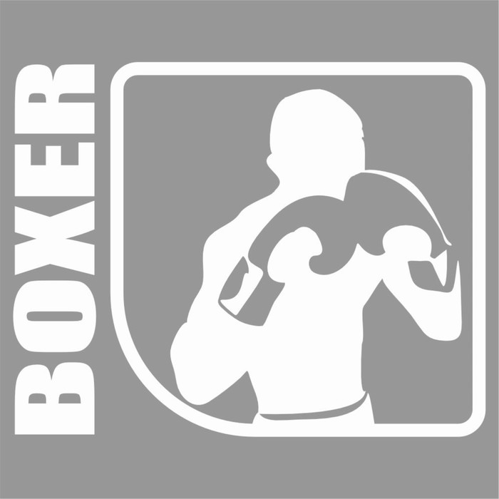 Наклейка "Спорт", бокс, белая, плоттер, 100 х 80 мм - Фото 1