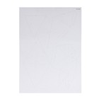 Полигональный конструктор «Земля», 17 листов - фото 30535818