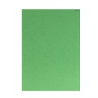 Полигональный конструктор «Земля», 17 листов - фото 30535819