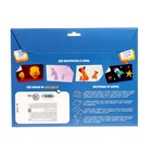 Полигональный конструктор «Земля», 17 листов - фото 30535822