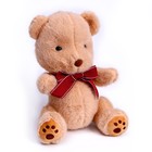 Мягкая игрушка «Мишутка», 25 см, цвет коричневый - фото 318949428