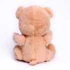 Мягкая игрушка «Мишутка», 25 см, цвет коричневый - фото 24365317