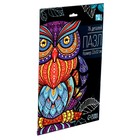 Пазл фигурный в рамке «Сова», на подложке, 76 деталей - Фото 5