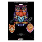 Пазл фигурный в рамке «Сова», на подложке, 76 деталей - Фото 6