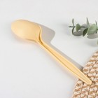 Ложка столовая одноразовая «БИО ЭКО премиум M», цвет бежевый (комплект 50 шт) - фото 24365323