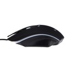 Игровой набор Smartbuy RUSH Citadel 3 в 1, клавиатура+мышь+ковер, проводной, 2400 dpi - фото 51301540 Игровой набор Smartbuy RUSH Citadel 3 в 1, клавиатура+мышь+ковер, проводной, 2400 dpi - фото 51301540