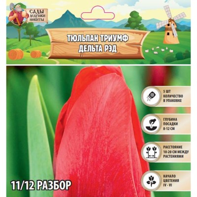 Тюльпан Триумф Дельта Рэд, луковица в пакете с перфорацией, р-р 11/12, 5 шт.