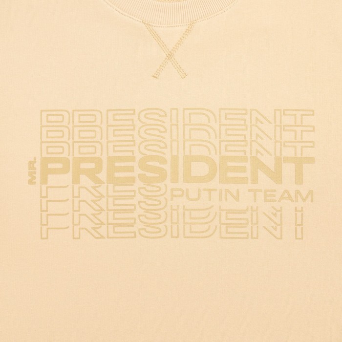 Свитшот President, размер L, цвет бежевый - фото 1907478508