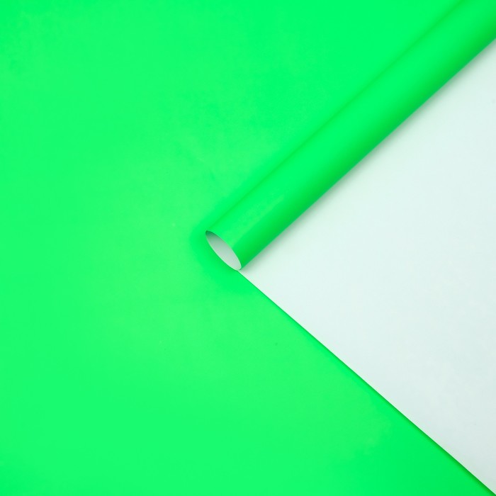 Бумага глянцевая, зеленая, 0,5 х 0,7 м - фото 8113423