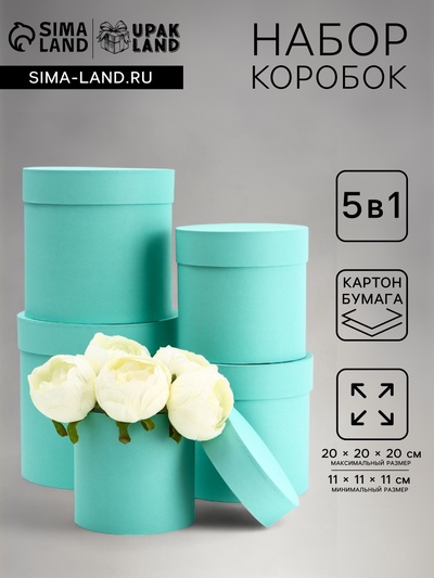 Набор шляпных подарочных коробок 5 в 1 «Мята однотонный»,20×20×20‒11×11×11 см