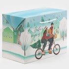 Пакет-коробка «Новый год вместе», 28 × 20 × 13 см - фото 9068462