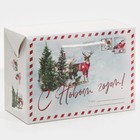 Пакет-коробка «Новогодняя пора», 28 × 20 × 13 см - Фото 1