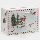 Пакет-коробка «Новогодняя пора», 28 × 20 × 13 см - Фото 3