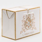 Пакет-коробка «С новым счастьем», 28 х 20 х 13 см - фото 68103421