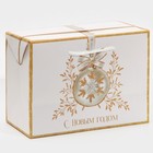 Пакет-коробка «С новым счастьем», 28 х 20 х 13 см - фото 68103422