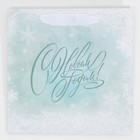 Пакет ламинированный квадратный «Вьюга», 22 х 22 х 11 см, Новый год - фото 21667788