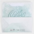 Пакет ламинированный квадратный «Вьюга», 22 х 22 х 11 см, Новый год - фото 21667789