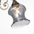 Плафон Алия 1хЕ27 тонированный 14х14х17см - фото 24337847