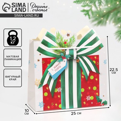 Пакет подарочный новогодний «С Новым годом», 25×26×10 см