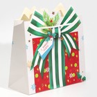 Пакет подарочный «Подарок», 25 × 26 × 10 см - фото 9055276