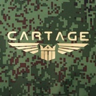 Термосумка Cartage Т-19, камуфляж пиксель, 10 л, 26х19х19 см - фото 9482804