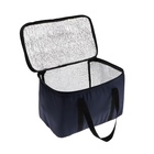 Термосумка Cartage Т-17, синяя, 18 л, 35×21×24 см - Фото 3