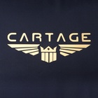 Термосумка Cartage Т-17, синяя, 18 л, 35×21×24 см - Фото 6