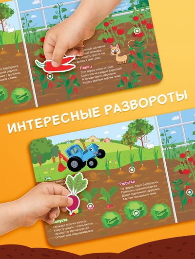 Картонная книга с липучками «Весёлые липучки. В огороде», 12 стр., Синий трактор