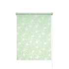 Рулонная штора «Экзотика», 60х175 см, цвет зеленый - фото 296405197