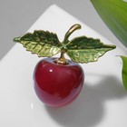 Брошь «Яблоко» на ветке, цвет красно-зелёный в золоте - Фото 1