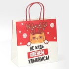 Пакет подарочный «Не будь оленем», 22 × 22 × 11 см - фото 9585491